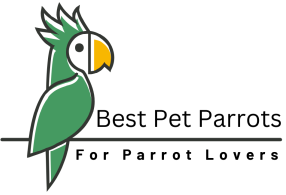 Best Pet Parrots